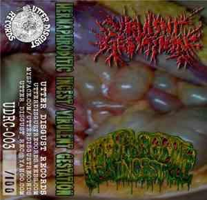 Hermaphroditic Incest, Virulent Gestation - Virulent Gestation / Hermaphrod ...