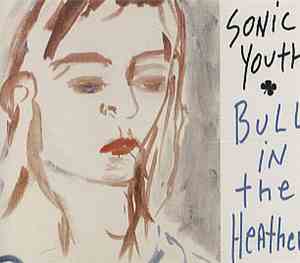 Sonic Youth - Bull In The Heather