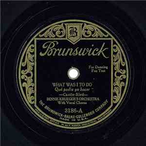 Bennie Krueger's Orchestra - What Was I To Do / Bye Bye Blackbird