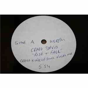 Craig David Featuring Sting - Rise & Fall