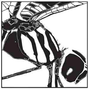 Papa Chango - Enter The Dragonfly