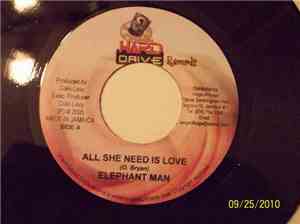Elephant Man / Black Lion - All She Need Is Love / Babylon Make A Mistake