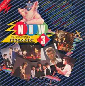 Various - NOW That's What I Call Music 3