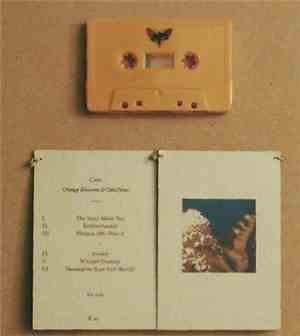 Cass. - Orange Blossoms & Odd Paws