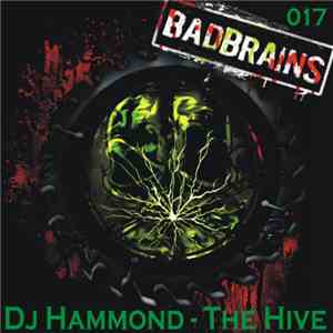 DJ Hammond - The Hive