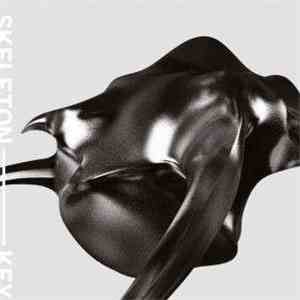 Skeleton Key - Gravity Is The Enemy