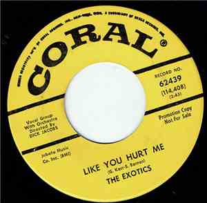 The Exotics  - Like You Hurt Me / Big Time Charlie