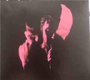 Roddy Woomble - The Deluder