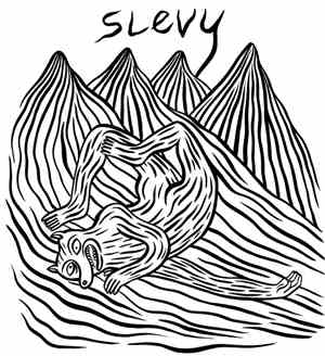 Slevy - Vol. 1