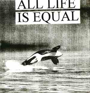 Subway Arts / No More - All Life Is Equal