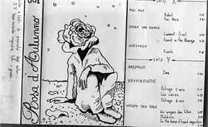 Various - Rosa D'Autunno