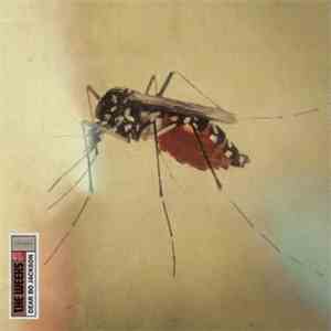 The Weeks - Dear Bo Jackson