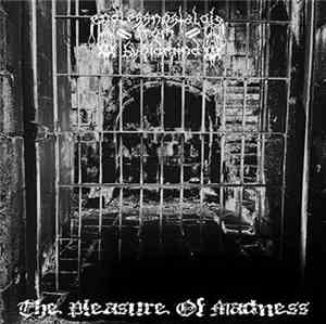 Endless Nostalgia From A Void Mind - The Pleasure Of Madness
