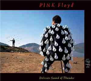 Pink Floyd - Delicate Sound Of Thunder