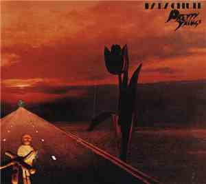 Pretty Things - Parachute