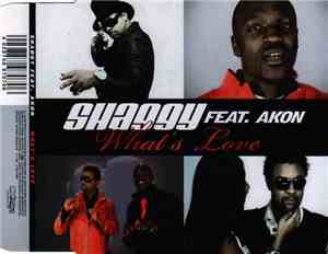 Shaggy Feat. Akon - What's Love