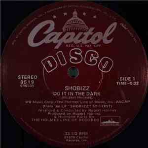Shobizz - Do It In The Dark / We Are A Music Machine