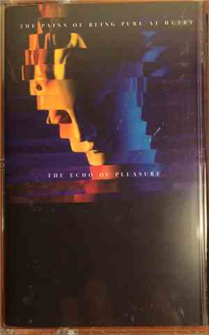 The Pains Of Being Pure At Heart - The Echo Of Pleasure