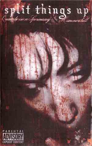 Cumdivision Spermany, Hammerdrill - Split Things Up