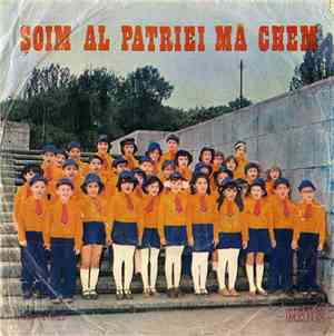 Grup de șoimi de la Liceul de Artă „George Enescu“ din București - Șoim Al  ...