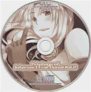 Various - Privilege Of Intersect Fractional Vol. 2