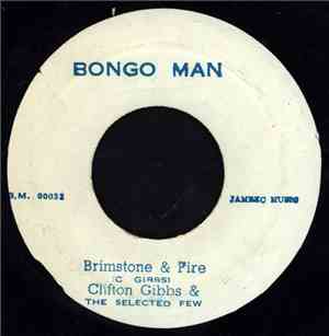 Clifton Gibbs & The Selected Few - Brimstone & Fire