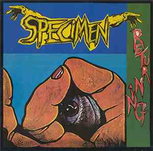 Specimen - Returning (From A Journey)