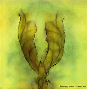 Beequeen - Aughton - The Patient Books