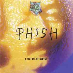 Phish - A Picture Of Nectar