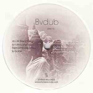 Bvdub - A Silent Reign