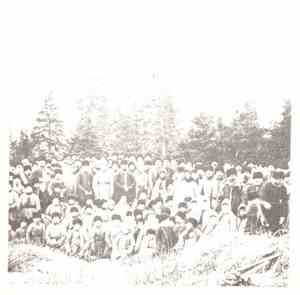 Various - The 1901 Rabbit Cull