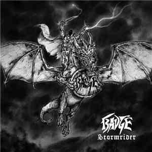 Badge  - Stormrider