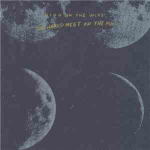 Bird On The Wire - Our Hands Meet On The Moon