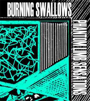Burning Swallows - Phantom Limb Sensations