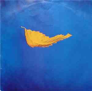 New Order - True Faith