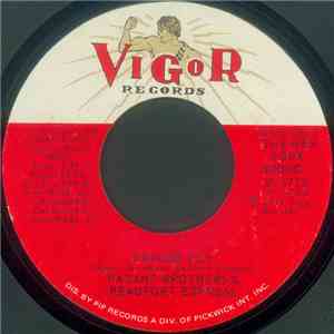 Pazant Brothers & The Beaufort Express - Dragon Fly / Dixie Rock