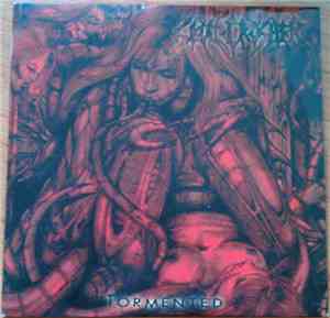Skull Crusher  - Tormented