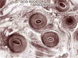 ACID ROOSTER - live at desi