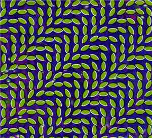 Animal Collective - Merriweather Post Pavilion