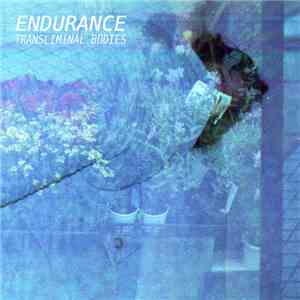 Endurance  - Transliminal Bodies