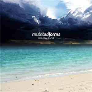 MutatedForms - Storm In A Teacup b/w Conformist