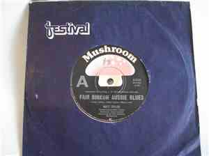 Matt Taylor - Fair Dinkum Aussie Blues