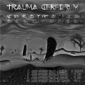 Trauma Cerebrum - And Every Day Without Fail One Should Consider Himself As ...