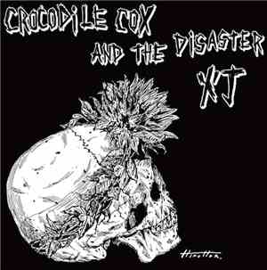 Crocodile Cox And The Disaster - 灯 / Motto