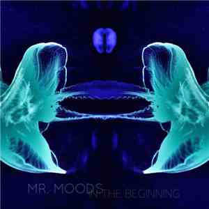 Mr. Moods - In The Beginning
