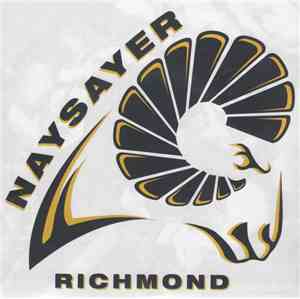 Naysayer - Down But Not Out