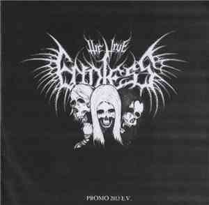 The True Endless - Promo 2013 E.V.