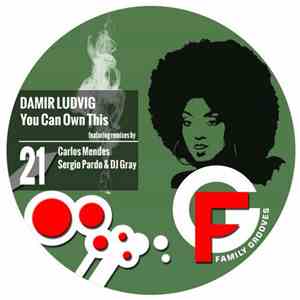 Damir Ludvig - You Can Own This