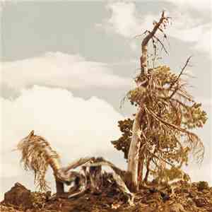 People Of The North - Steep Formations