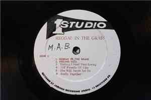 Various - Reggae In The Grass